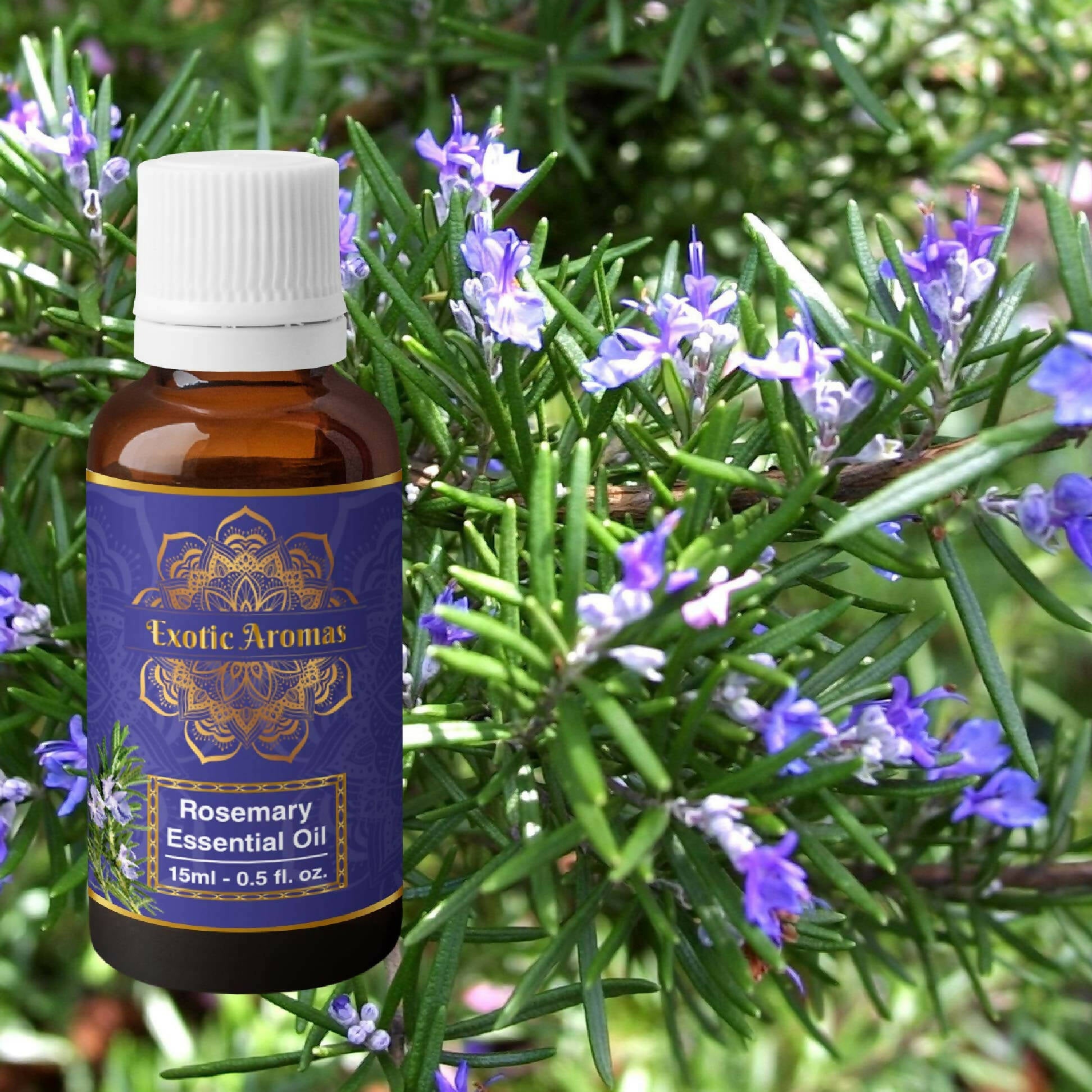 Exotic Aromas Rosemary Oil for Hair Growth, Skin - Distacart