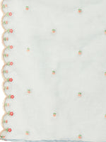 Thumbnail for Sky Blue Embroidered Chinon Straight Kurta With Trouser & Dupatta - Salimar - Distacart