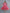 Kalini Women Pink & Golden Ethnic Motifs Printed Anarkali Kurta - Distacart