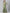 Kalini Women Green Yoke Design Gotta Patti Kurta with Sharara - Distacart