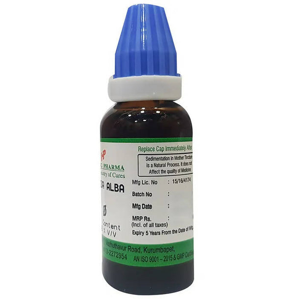 Hering Pharma Bryonia Alba Mother Tincture Q - Distacart