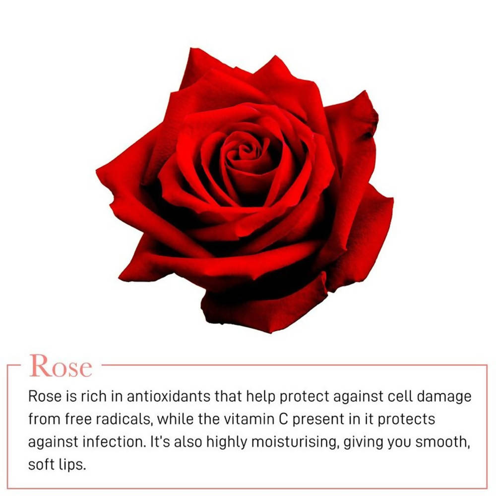 Myglamm Manish Malhotra Rose Lip Moisturising Gel - Distacart