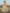 Myra Pista Green Georgette Embroidered Designer Lehenga Choli - Distacart
