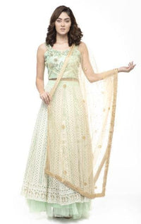 Thumbnail for A R Silk Women's Net Net Chandna Handwork With Moti Laish Golden Fancy Dupatta