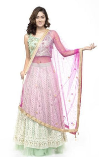 Thumbnail for A R Silk Women's Net Net Chandna Handwork With Moti Laish Rani Fancy Dupatta