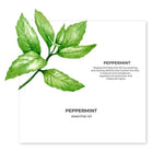 Thumbnail for Juicy Chemistry Peppermint Essential Oil - Distacart