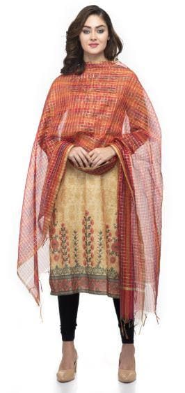 A R Silk Women's Chanderi Zari Embroidery Multi Regular Dupatta