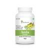 Four Seasons Amla Powder - Distacart