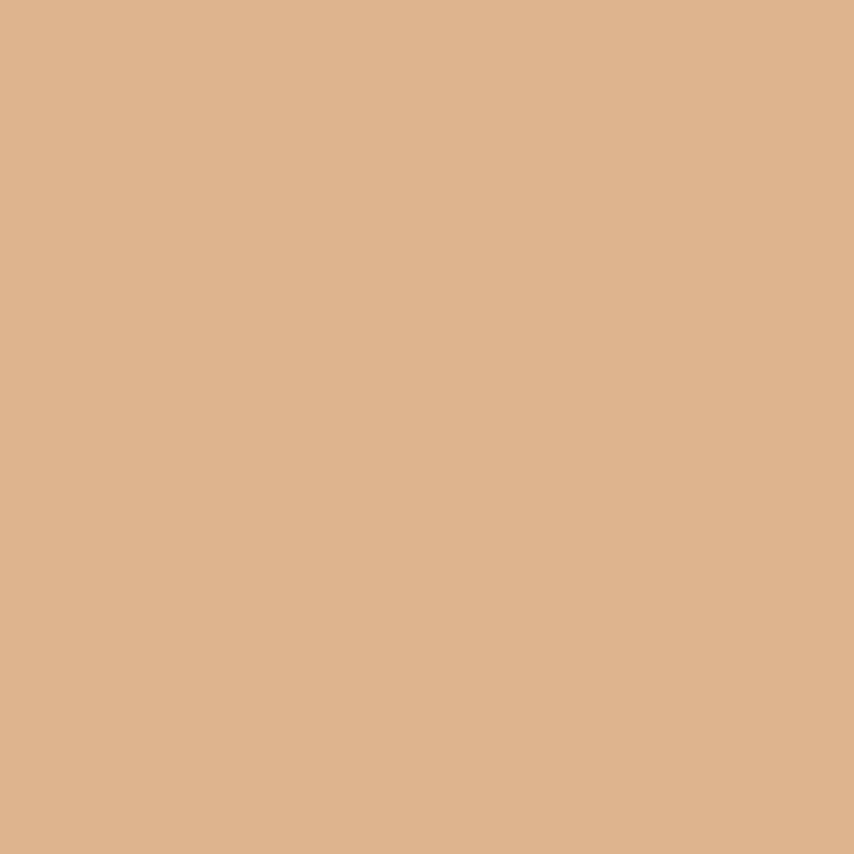 Colorbar 24Hrs Wear Weightless Powder Foundation Pf 11 - Distacart