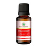 Korus Essential Strawberry Essential Oil - Therapeutic Grade - Distacart