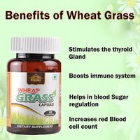 Thumbnail for Cipzer Wheat Grass Capsules - Distacart