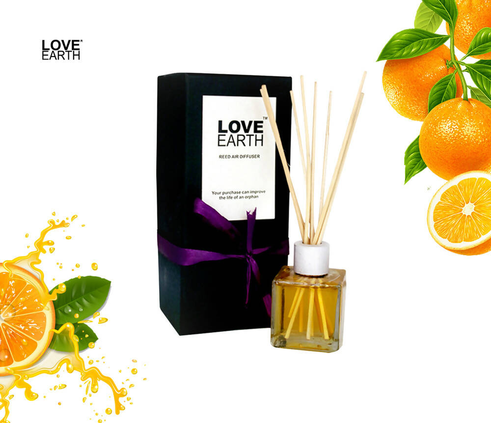 Love Earth Reed Diffuser- Orange - Distacart