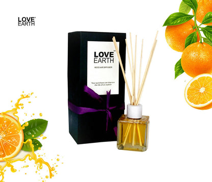 Love Earth Reed Diffuser- Orange - Distacart