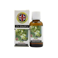 Thumbnail for Dr. Bach's Olive (Pure Essence) Bach Flower - Distacart