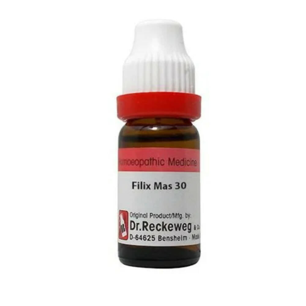 Dr. Reckeweg Filix Mas Dilution - Distacart