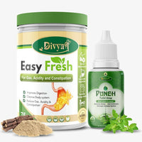 Thumbnail for Divya Shree Easy Fresh Powder and Punch Tulsi Drop Combo - Distacart