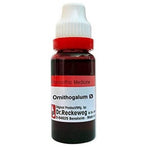 Thumbnail for Dr. Reckeweg Ornithogalum Umbellatum Mother Tincture Q