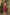 Juniper Maroon Silk Festive Embroidered Straight Kurta For Women - Distacart