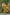 Juniper Mustard Georgette Festive Printed Flared Dress For Women - Distacart