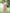 Juniper Peach Georgette Festive Printed Flared Maxi For Women - Distacart