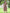Juniper Brown Multi Chiffon Festive Printed Flared Jump Suit For Women - Distacart