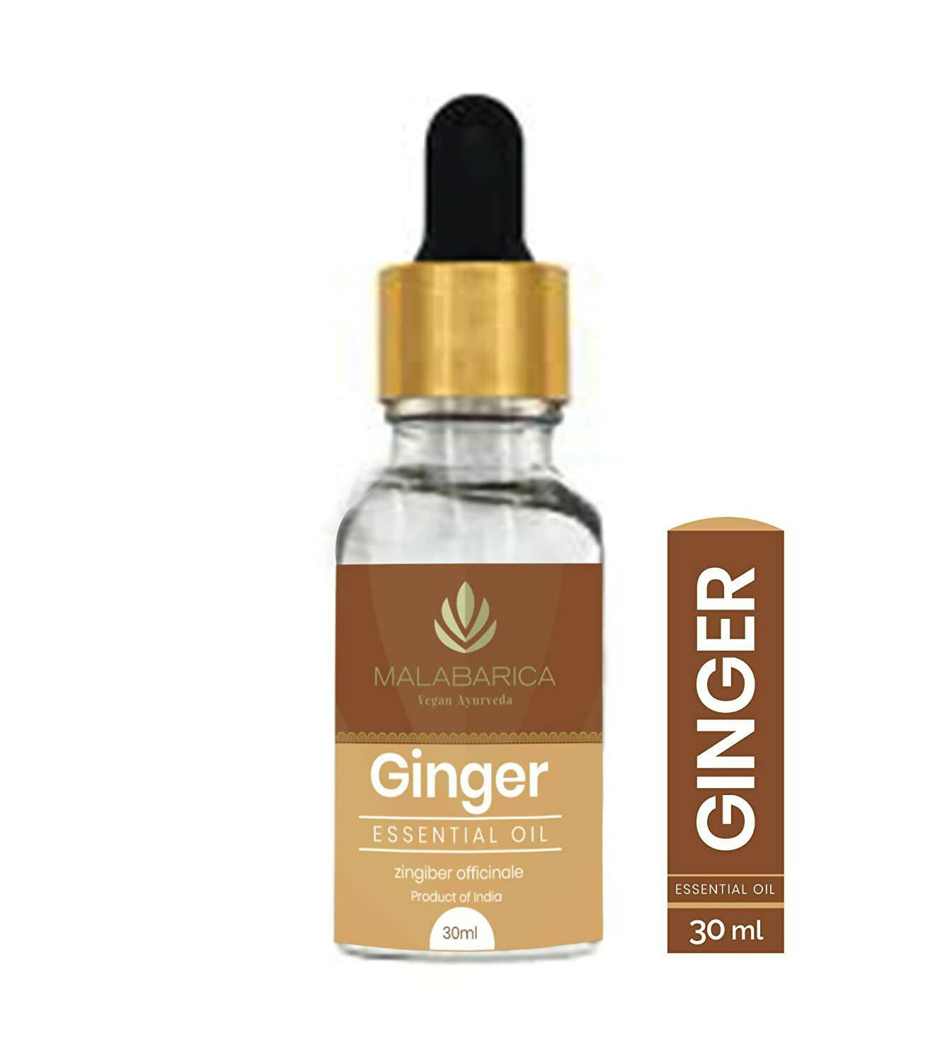Malabarica Ginger Essential Oil - Distacart