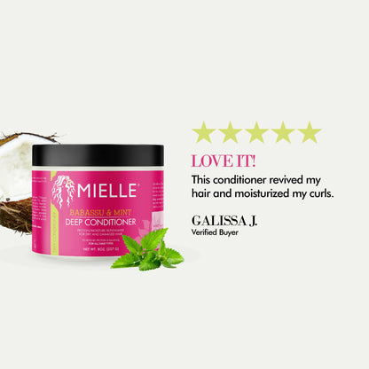 Mielle Babassu Oil And Mint Deep Conditioner - Distacart