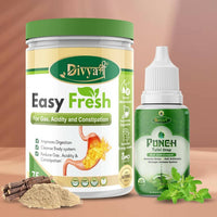 Thumbnail for Divya Shree Easy Fresh Powder and Punch Tulsi Drop Combo - Distacart