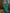 Mitera Teal & Gold-Toned Ethnic Motifs Zari Silk Blend Kanjeevaram Saree - Distacart
