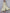 Kalini Women Olive Green & White Floral Printed Floral Anarkali Kurta - Distacart