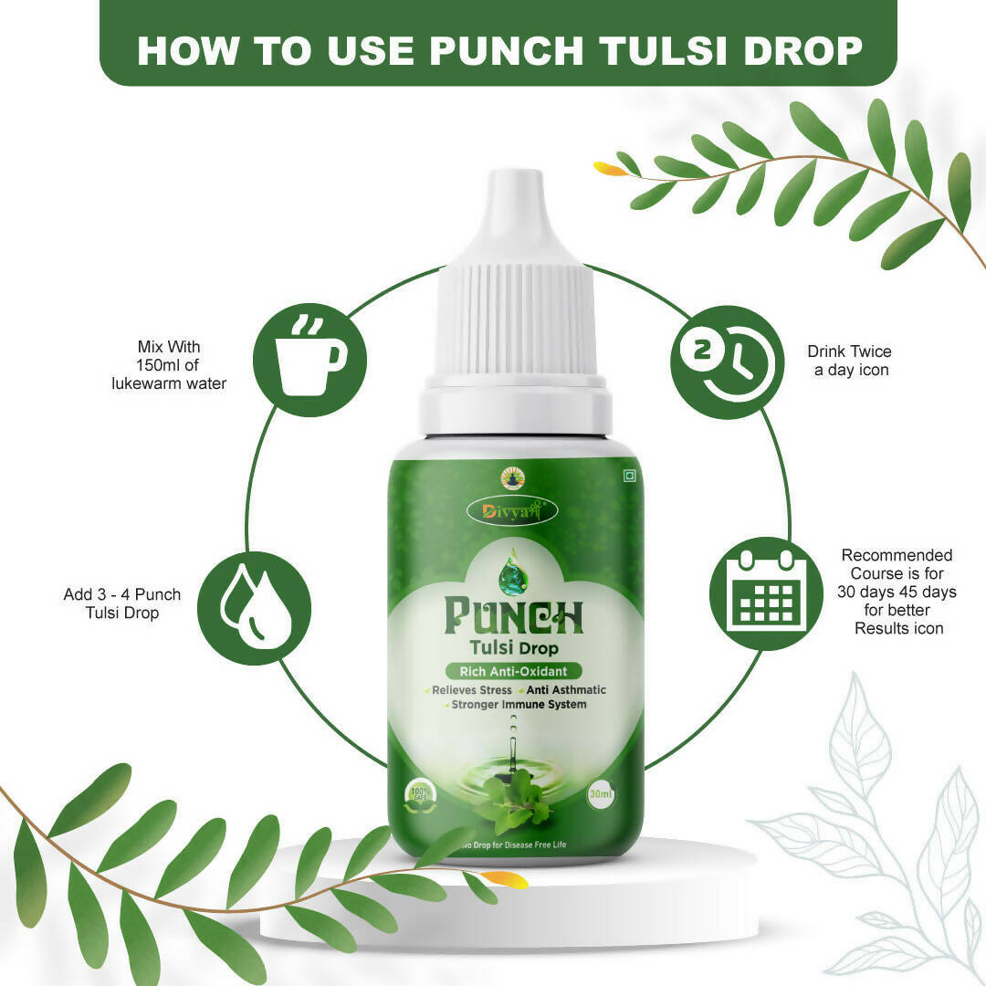 Divya Shree Punch Tulsi Drops - Distacart