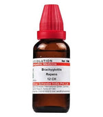 Thumbnail for Dr. Willmar Schwabe India Brachyglottis Repens Dilution