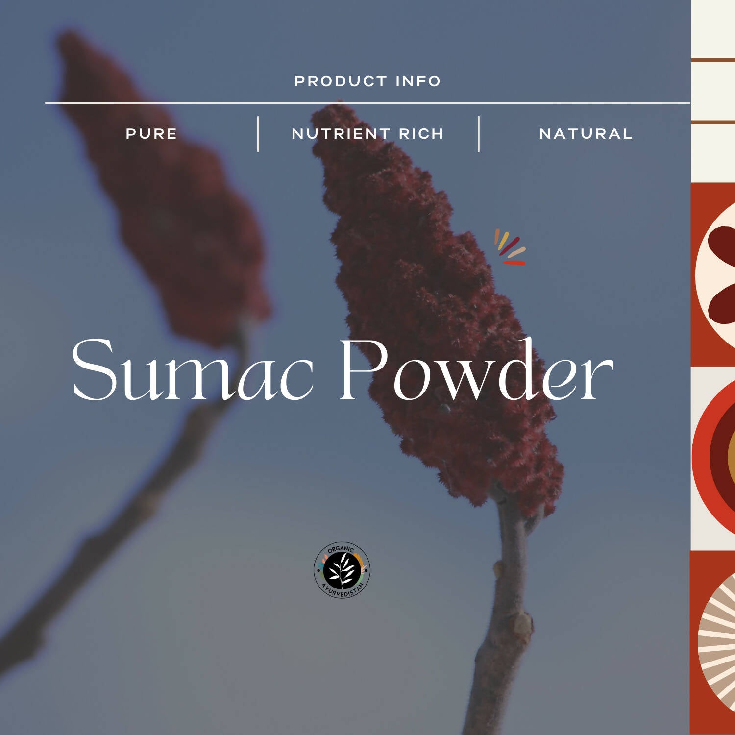 Organic Ayurvedistan Sumac Powder - Distacart