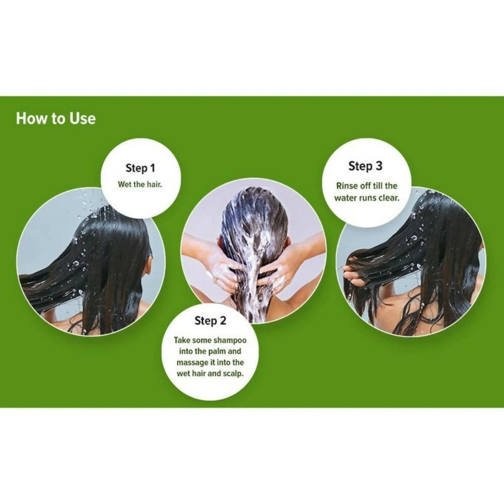 Fruiser Hair Care Shampoo With Ginseng & Aloe Vera - Distacart