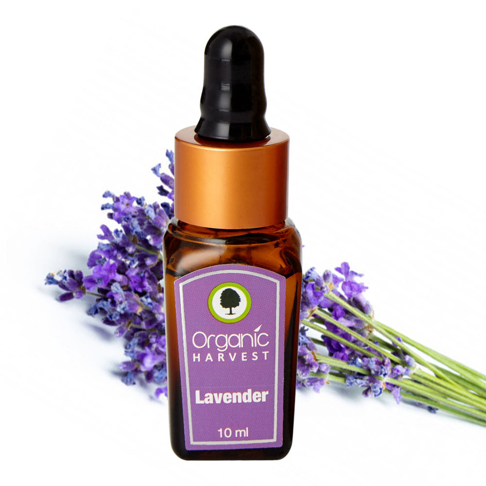 Organic Harvest Lavender Essential Oil