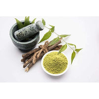 Thumbnail for Mesmara Herbal Neem Powder 100g - Distacart