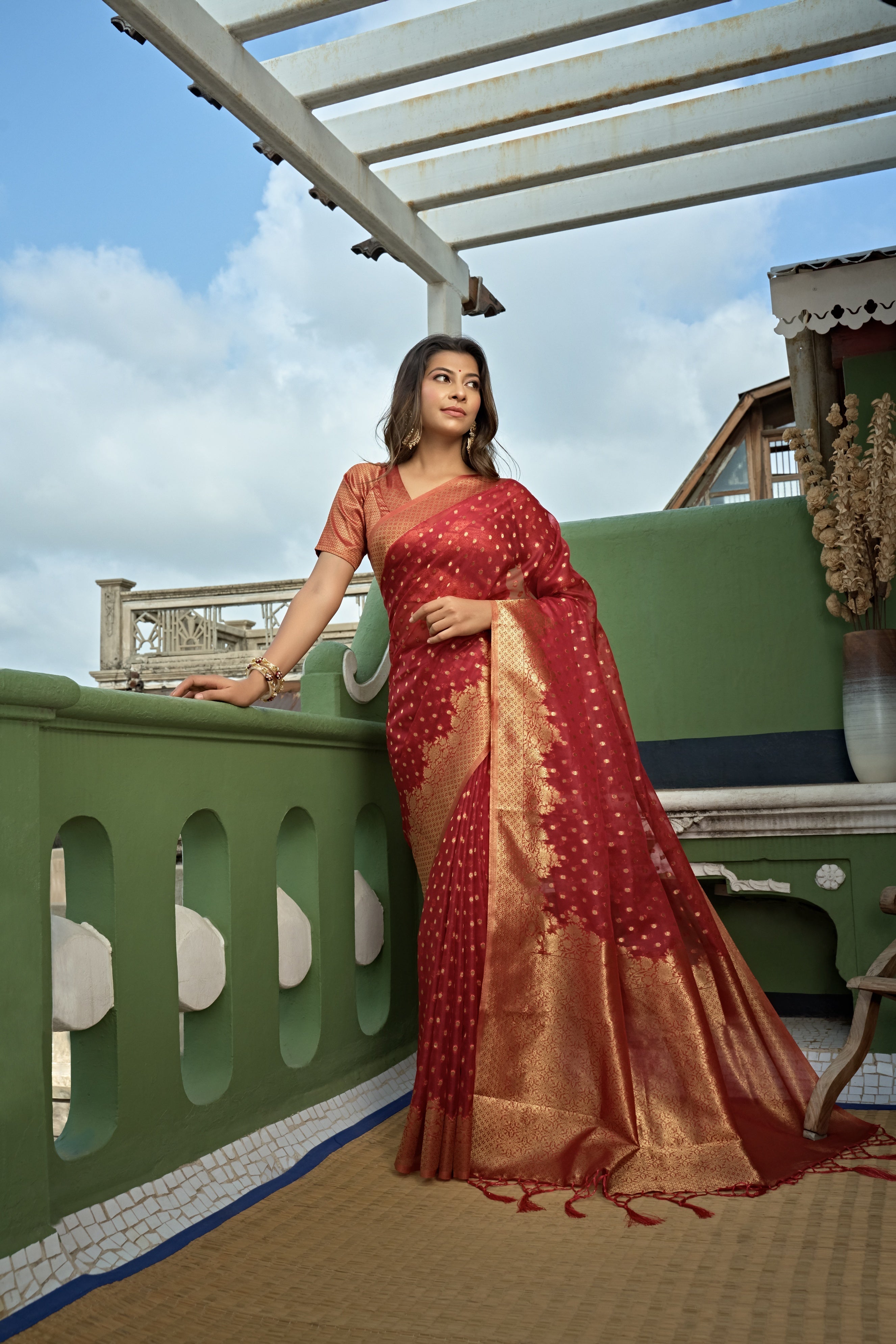 Vardha Apple Red Banarasi - Organza Saree