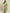 Saree Mall Green & Beige Printed Saree - Distacart