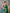 Mitera Green & Gold-Toned Ethnic Woven Design Zari Paithani Silk Saree - Distacart