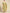 Sangria Women Yellow Floral Printed Lace Inserts Pure Cotton Kurta with Sharara & Dupatta - Distacart
