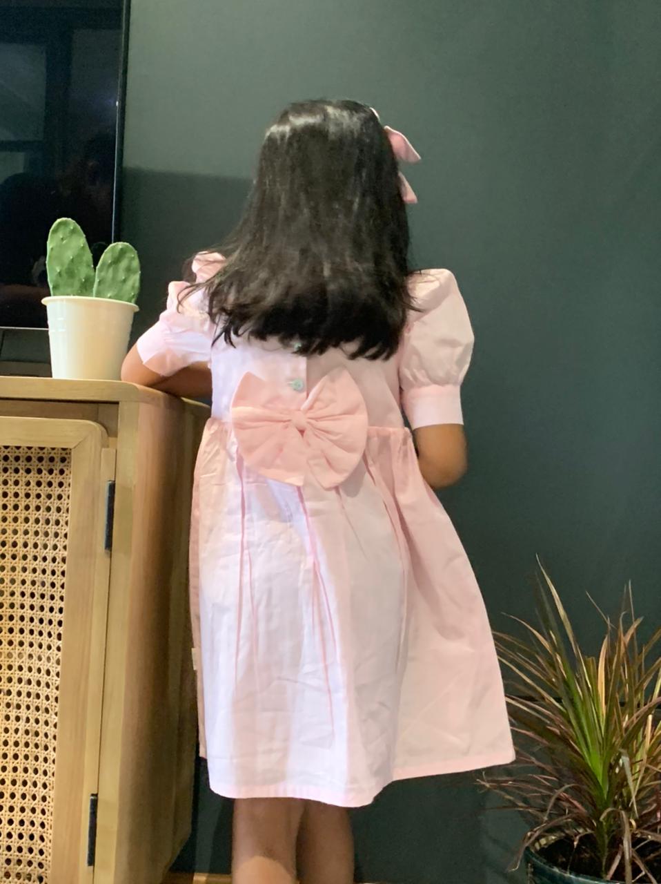 ArthLife Pink Flamingo Embroidered Dress - Distacart