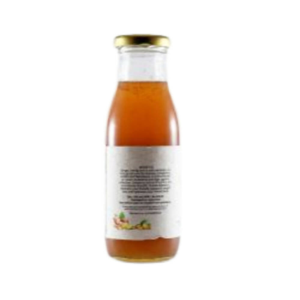 Native Circle Lemon Ginger Syrup - Distacart