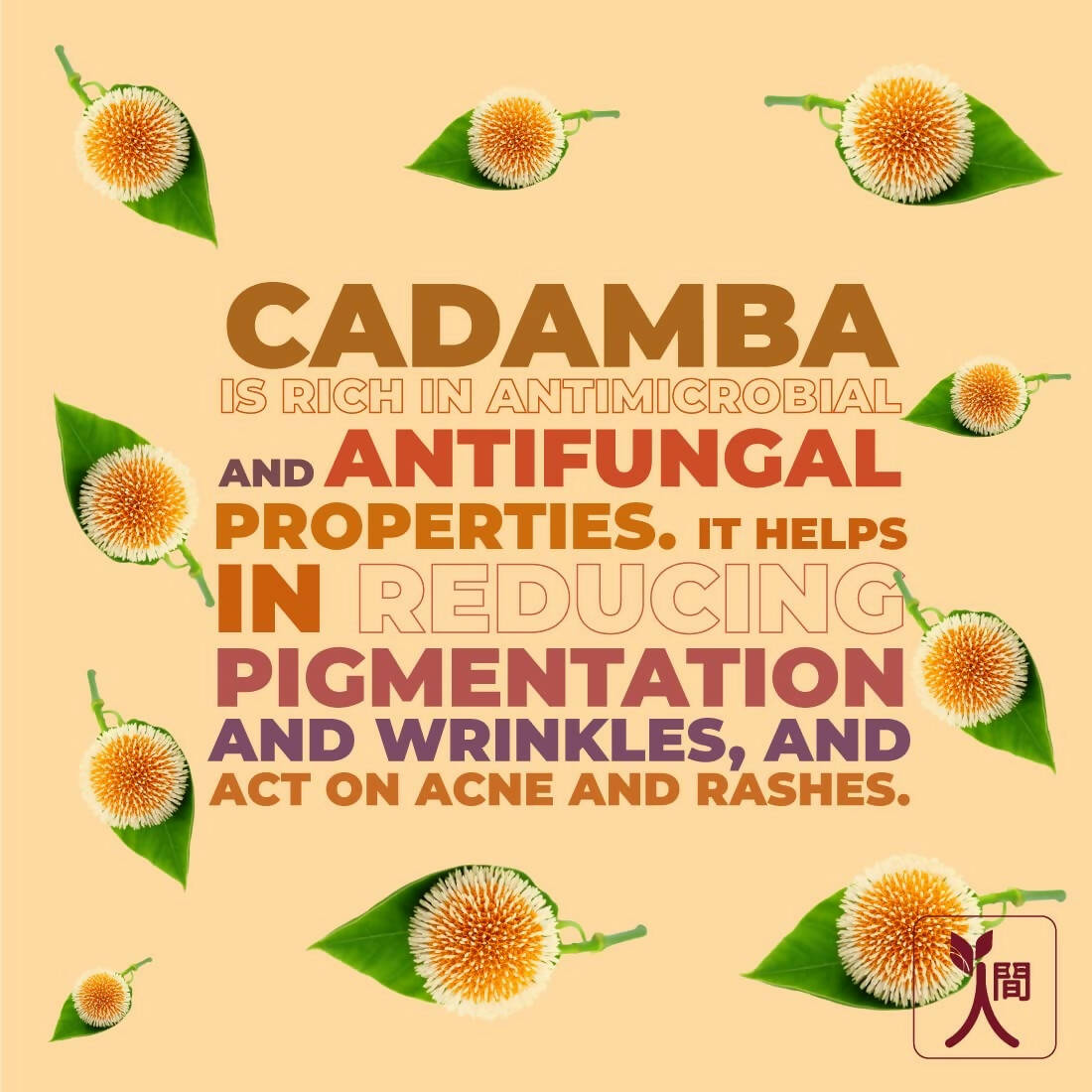 Ningen Cadamba Cleansing Milk Cream - Distacart