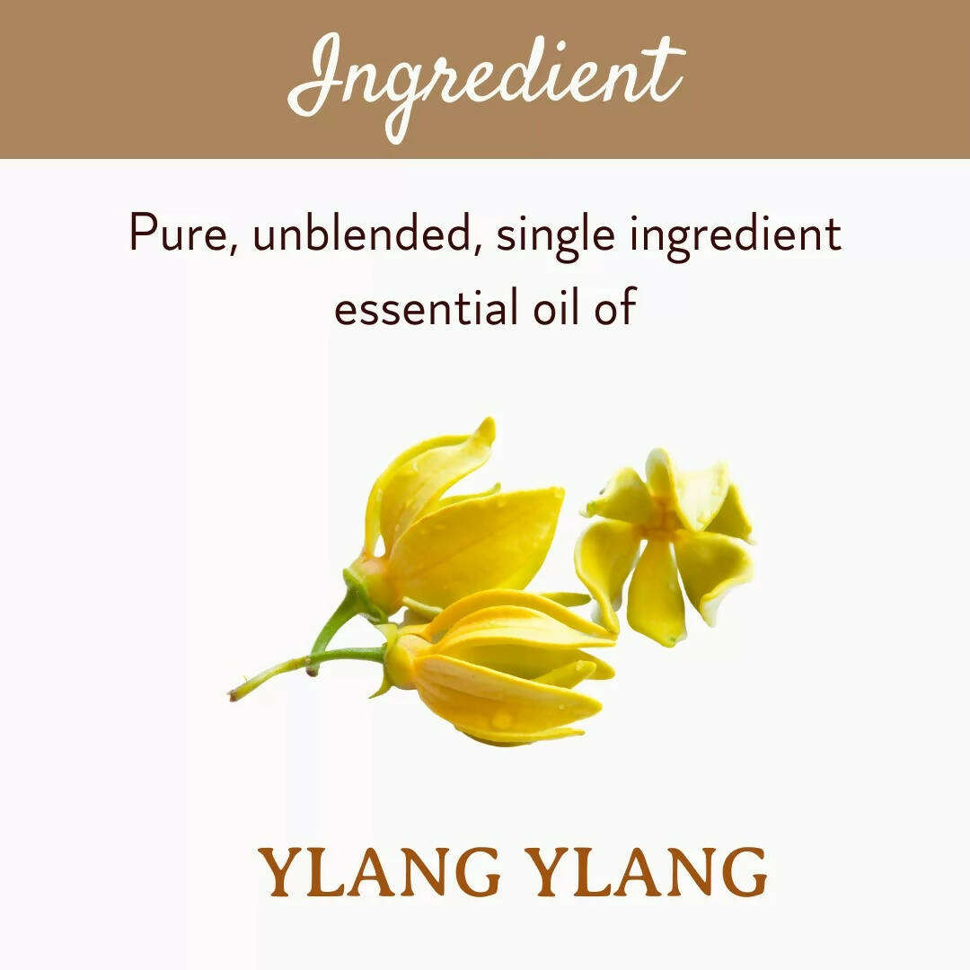 Mitti Se Ylang Ylang Essential Oil - Distacart