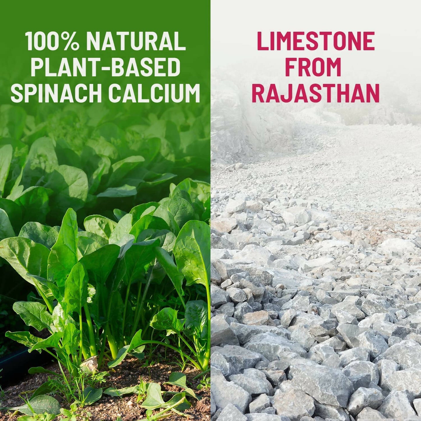 Gynoveda Spinach Calcium Drops - Distacart