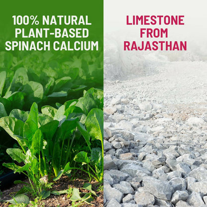 Gynoveda Spinach Calcium Drops - Distacart