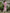 Cheera Embellished Daily Wear Cotton Blend Kurta - Baby Pink - Distacart