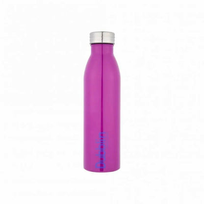 Dubblin Season Stainless Steel Fridge Water Bottle - Distacart