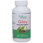 Thumbnail for Naturz Ayurveda Giloy Tablets - Distacart