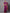 Mitera Magenta & Purple Woven Design Silk Blend Banarasi Saree - Distacart